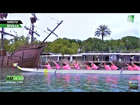 Mejores lugares para practicar remo cerca de Tomares