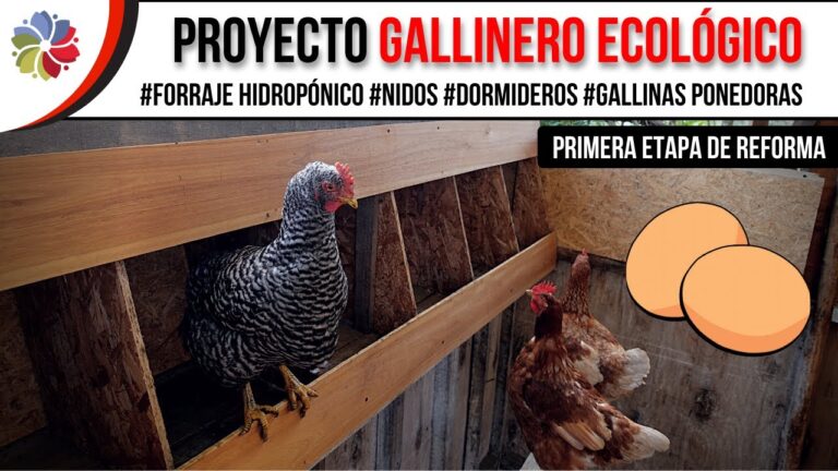 Guía para comprar alimentos ecológicos en Camas