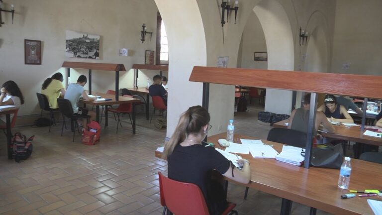 Vida Estudiantil en Alcal&aacute; de Guada&iacute;ra: Experiencias y Realidades