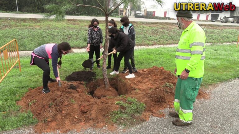 Asociaciones de Jardiner&iacute;a en Alcal&aacute; de Guada&iacute;ra: D&oacute;nde Encontrarlas