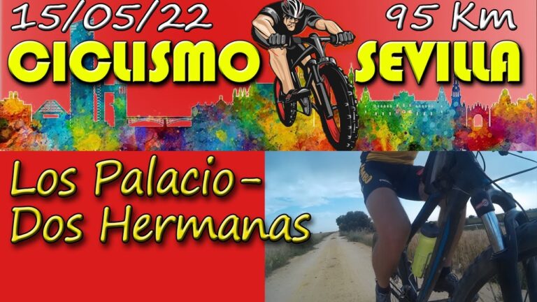 Transporte en Bicicleta en Dos Hermanas: Análisis y Perspectivas
