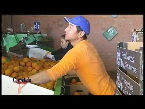 Guía para encontrar productos ecológicos en Alcalá de Guadaíra
