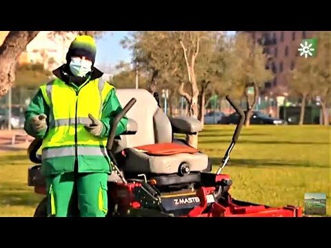 Calidad de Vida en Mairena del Aljarafe: Un An&aacute;lisis Exhaustivo