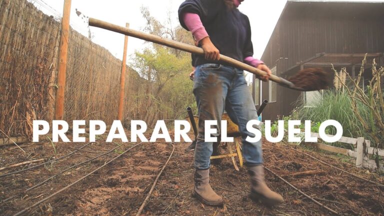 Asociaciones de Voluntariado en Camas: Oportunidades y Recursos