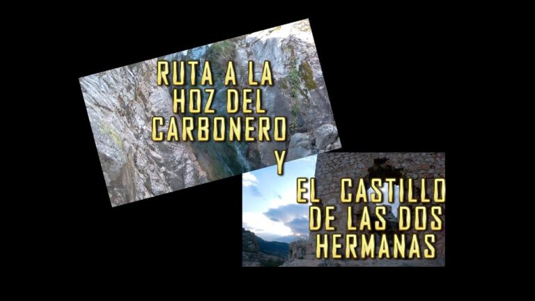 Senderismo con Perros: Mejores Rutas en Dos Hermanas